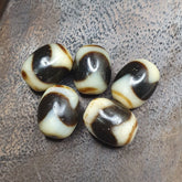 Lot 5 Powerful Unique patterns Tibetan Tiger Teeth Agate Dzi Bead Amulet