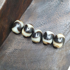 Lot 5 Powerful Unique patterns Tibetan Tiger Teeth Agate Dzi Bead Amulet
