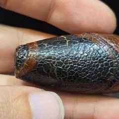 Dragon Skin Agate Bead: Himalayan Tibetan Amulet