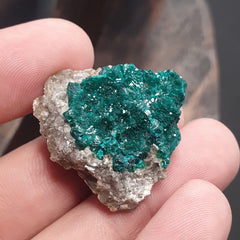 Green Dioptase Crystal Specimen: Congo Druzy Mineral, 65 Carats