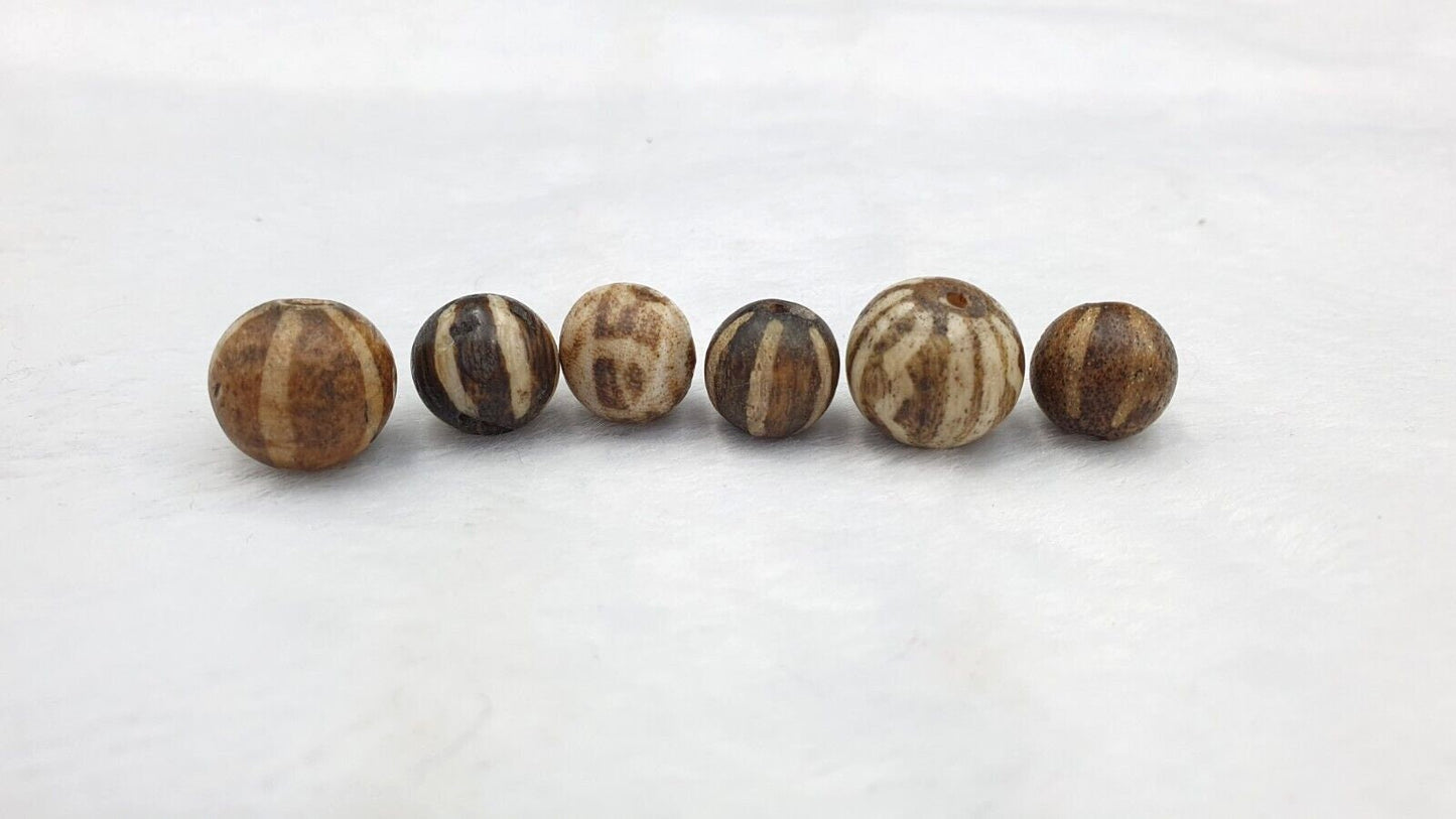 6 pcs lot south asian burmese antiques pumtek petrified wood stone late 19 c.