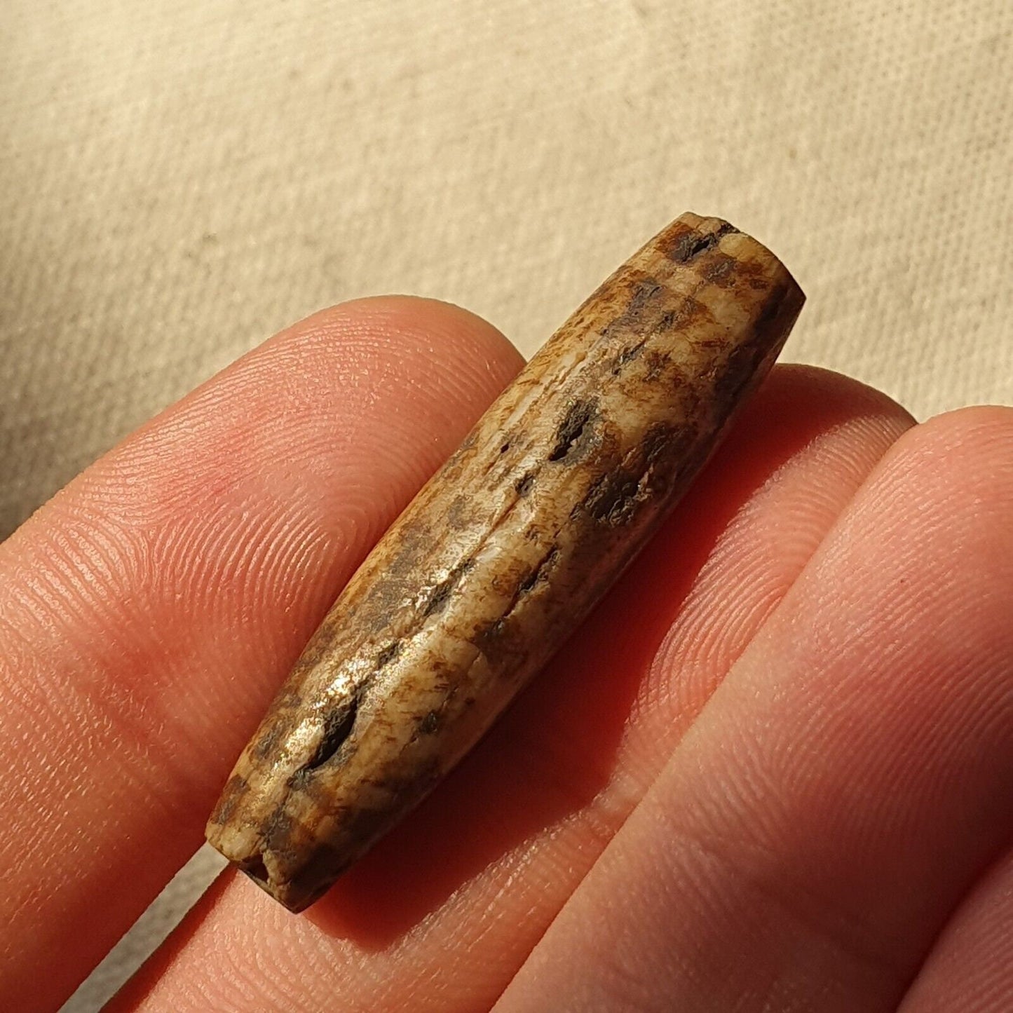 Asian burmese antique pumtek petrified wood stone bead