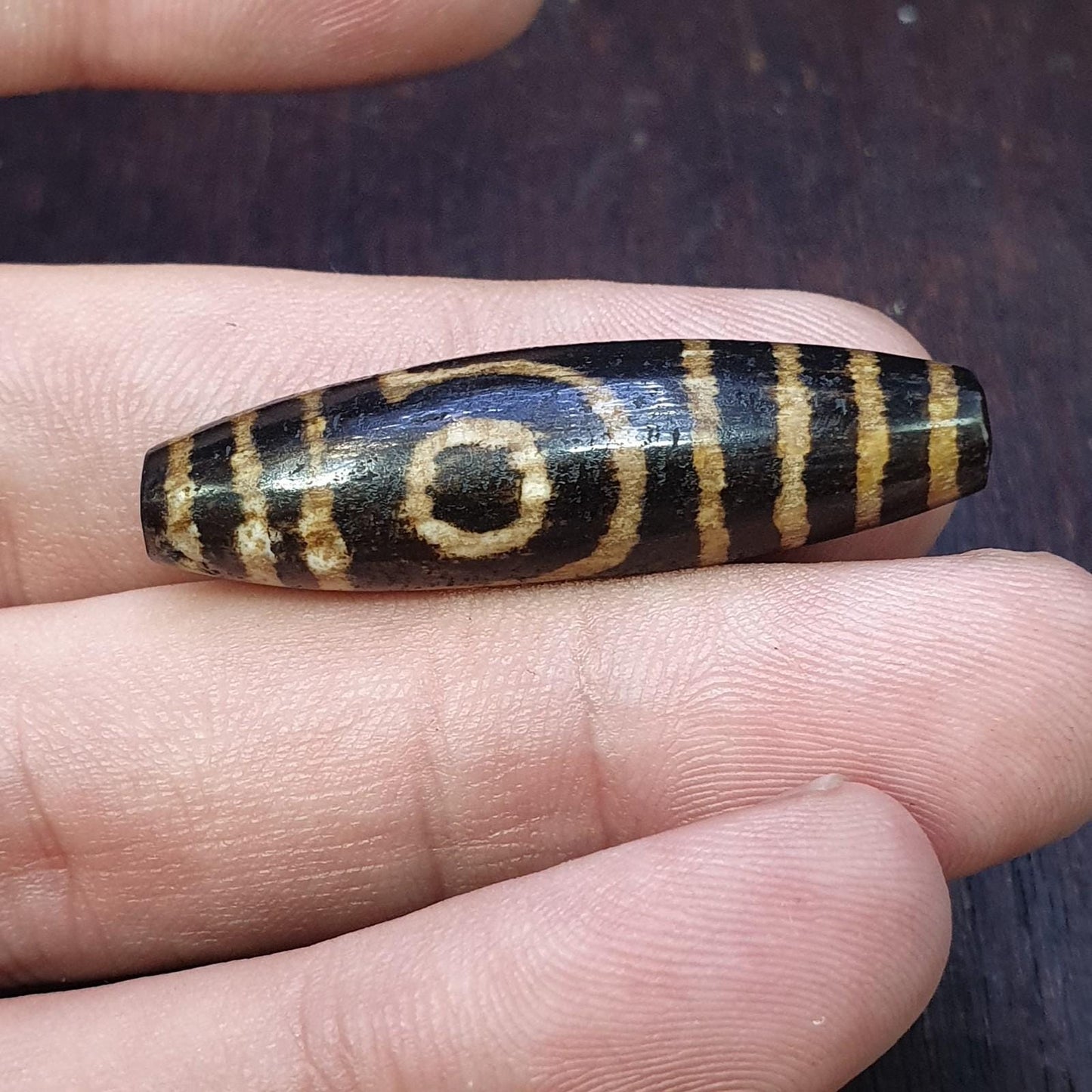 Dzi 2 eyes pattern asian burmese old pumtek petrified wood stone bead