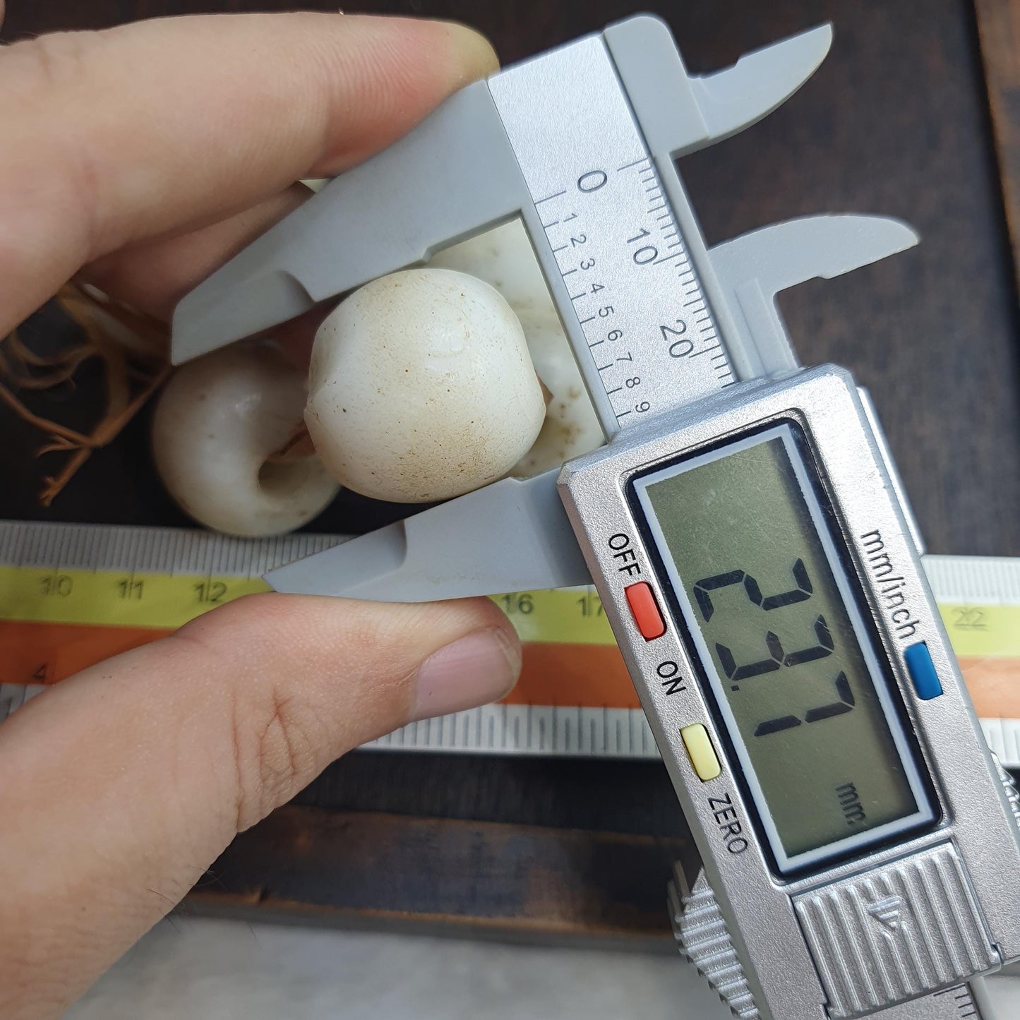 Rare Antique African Glass Trade Beads Lot of 7 - Vintage Opaque White Pigeon Egg Beads
