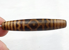 South Asian Burmese Antiques Trade Pumtek petrified Wood Beads Late 19 C. 52mm