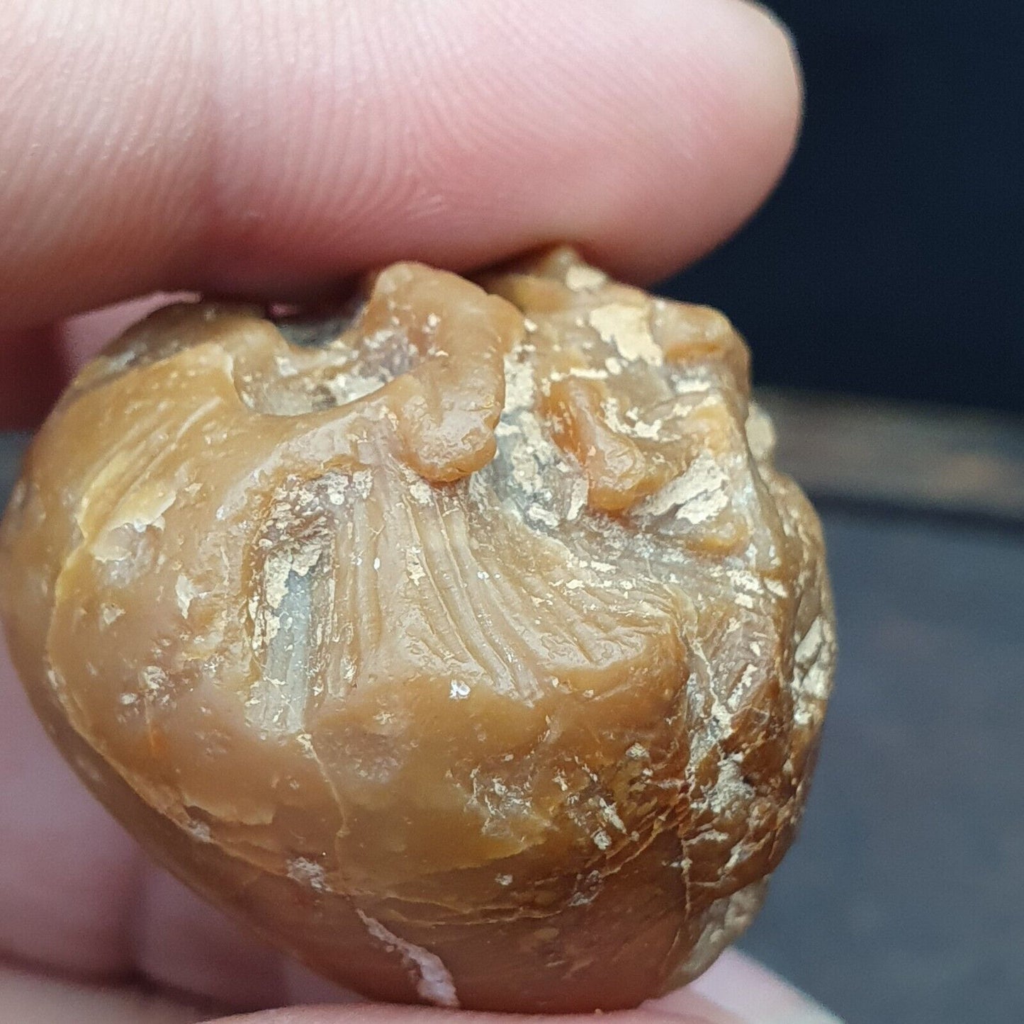Lot 2 alte, seltene, mit JADE und schwarzem Stein gravierte große Perlen aus dem Himalaya
