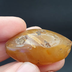 SL05 Wonderfully old Antique Himalayan Indo Tibetan Eye Suleimany Bead