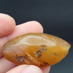 SL05 Wonderfully old Antique Himalayan Indo Tibetan Eye Suleimany Bead