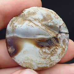 midle eastern old Antique Himalayan Indo Tibetan Eye Suleimany Bead SL013