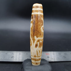 South Asian Burmese 58mm Old Pumtek petrified Wood Bead