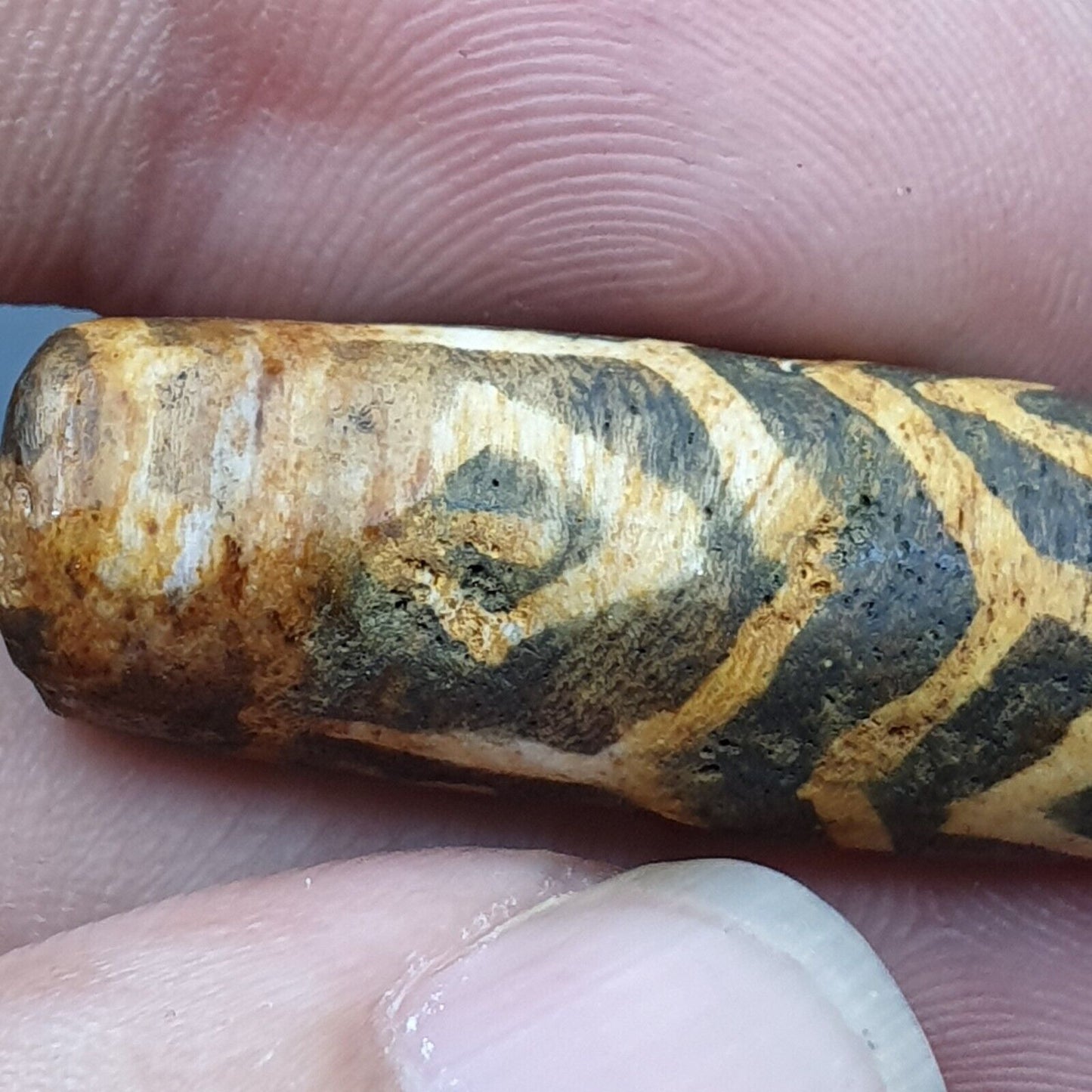 Antike südasiatische burmesische alte Pyu-Stamm Pumtek versteinerte Holzsteinperle