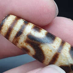 Old Himalayan Tibetan Vein Eyes Natural Agate Amulet Dzi Beads