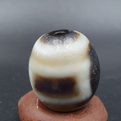 Old Antique Himalayan Tibetan Dragon 2 Eyes Dzi Amulet Bead