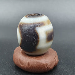 Old Antique Himalayan Tibetan Dragon 2 Eyes Dzi Amulet Bead