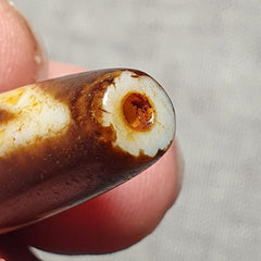 Very rare Nepalese Himalayan Tibetan Dzi Double Eyes Spiritual Amulet Mala Bead