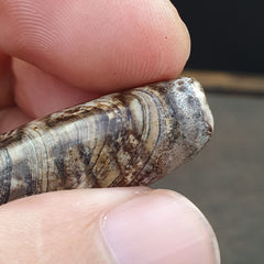 Vintage Old Tibetan 2 Eyes Agate stone Dzi Bead Amulet S-7