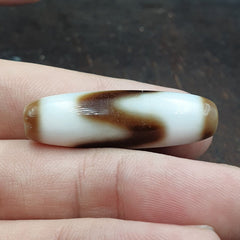 Tigere Teeth totem Tibetan White Agate Dzi Bead Amulet