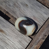 Indo Tibetan unique Tiger Teeth Pattern Agate Dzi Amulet Bead