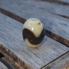 Indo Tibetan unique Tiger Teeth Pattern Agate Dzi Amulet Bead