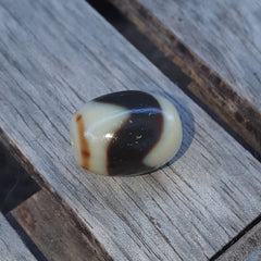 Indo Tibetan unique Tiger Teeth Pattern Agate Dzi Amulet Bead