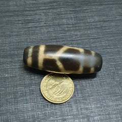 Rare Collectible Tibetan Turtle Pattern Eyes Agate stone Dzi Bead Amulet