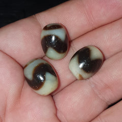 Lot 3 Beads Indo Tibetan Tiger Teeth Zigzag Pattern Agate Dzi Amulet Beads