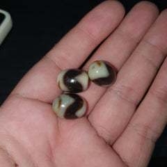 Lot 3 Beads Indo Tibetan Tiger Teeth Zigzag Pattern Agate Dzi Amulet Beads