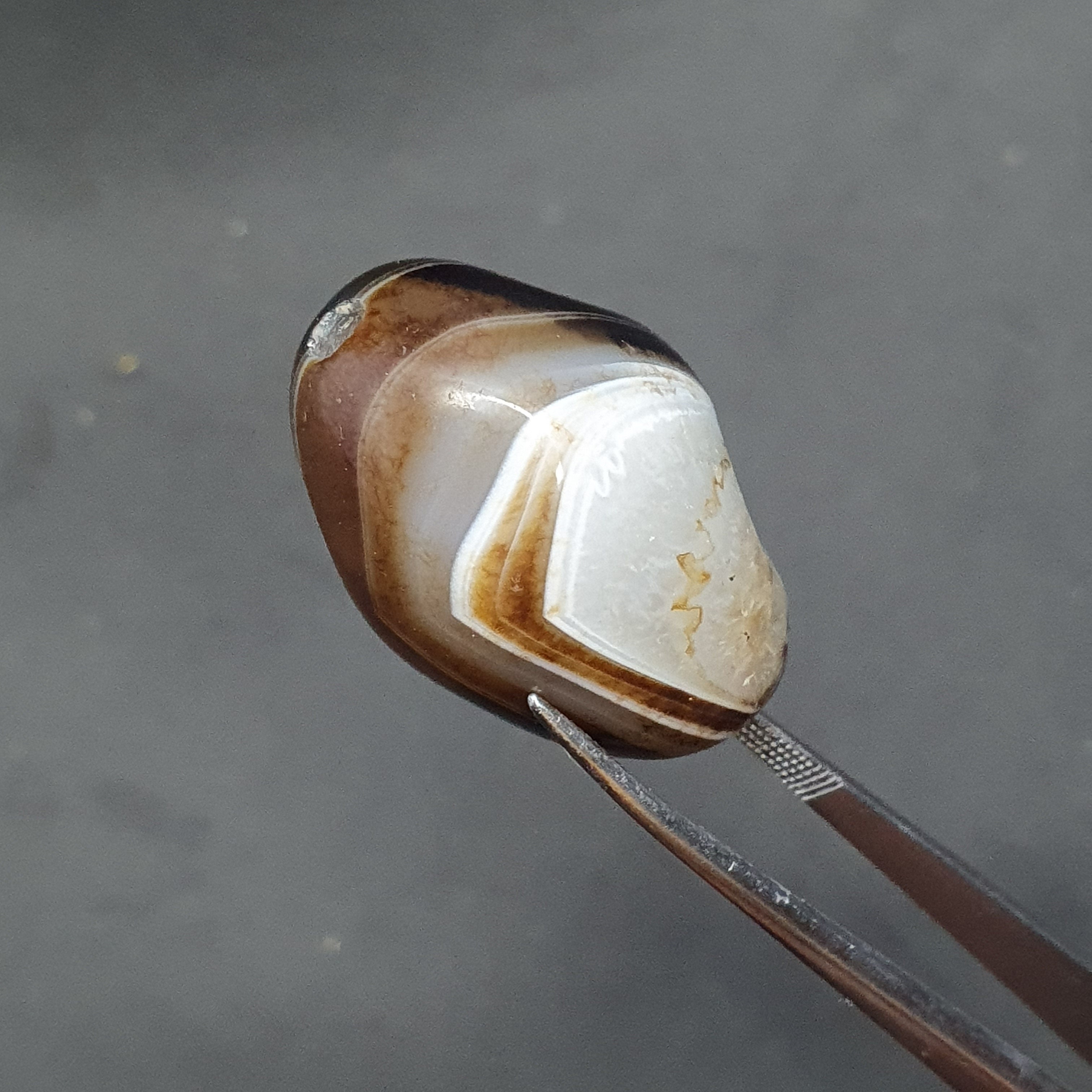 Vintage Himayalan Suliemani Rare Natural Eye Agate Bead