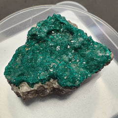 Rare crystal Dioptase emerald green color specimen From congo 185 CT