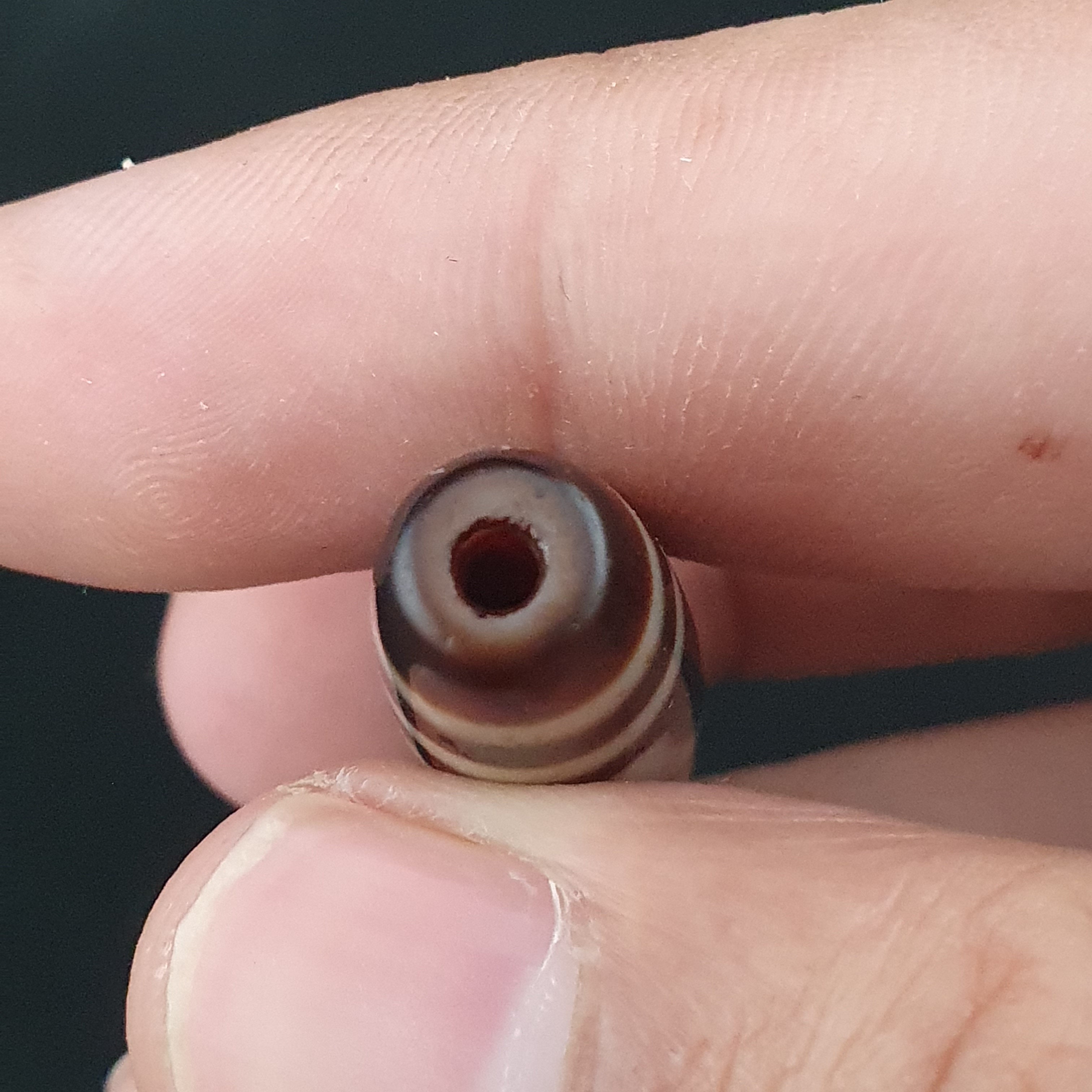 Antique 2 Eyes Himalayan Tibetan Agate Dzi Beads Amulet Pendant