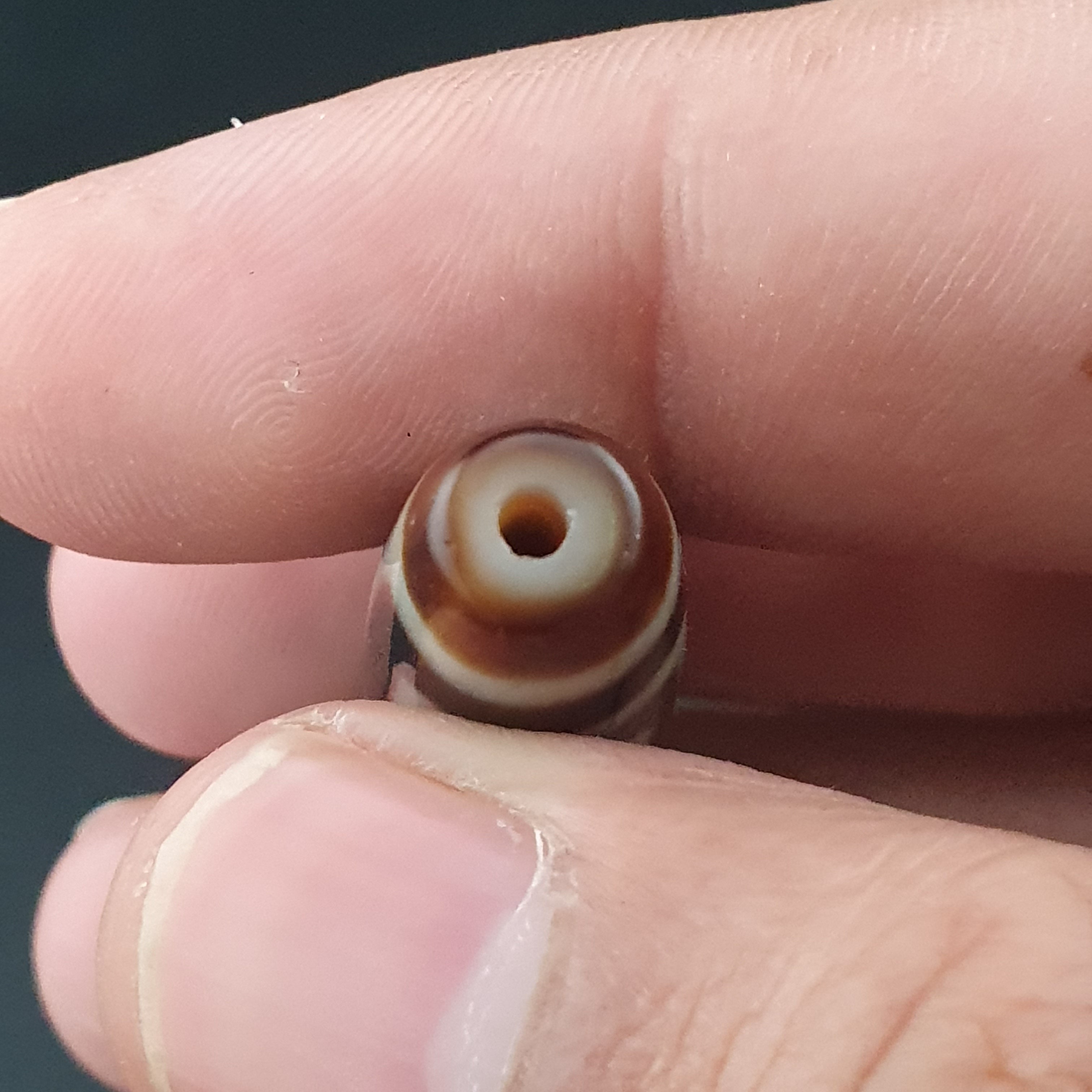 Antique 4 Eyes Himalayan Tibetan Agate Dzi Bead Amulet