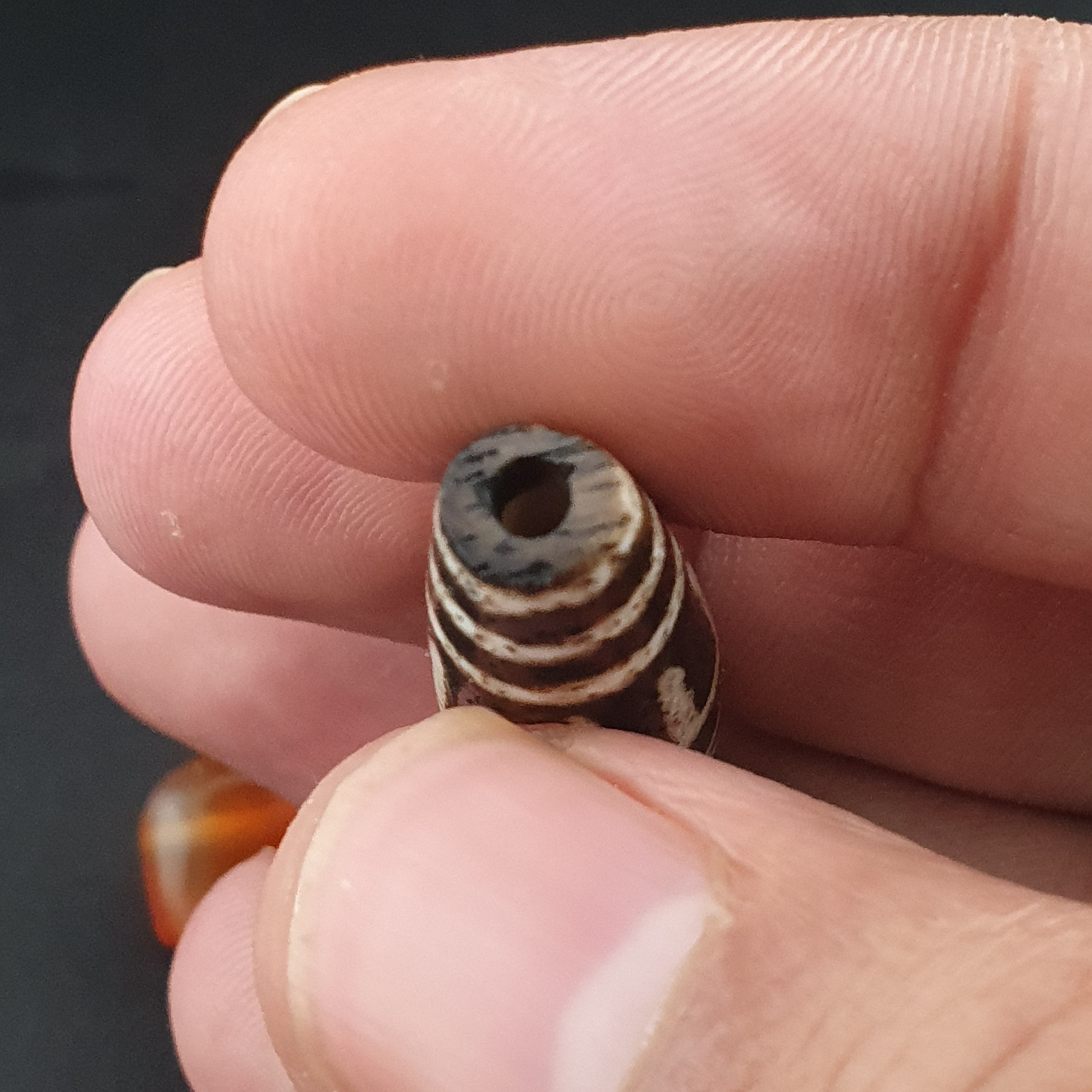 Antique Burmese Pumtek Pyu & Carnelian Beads Lot Of 3