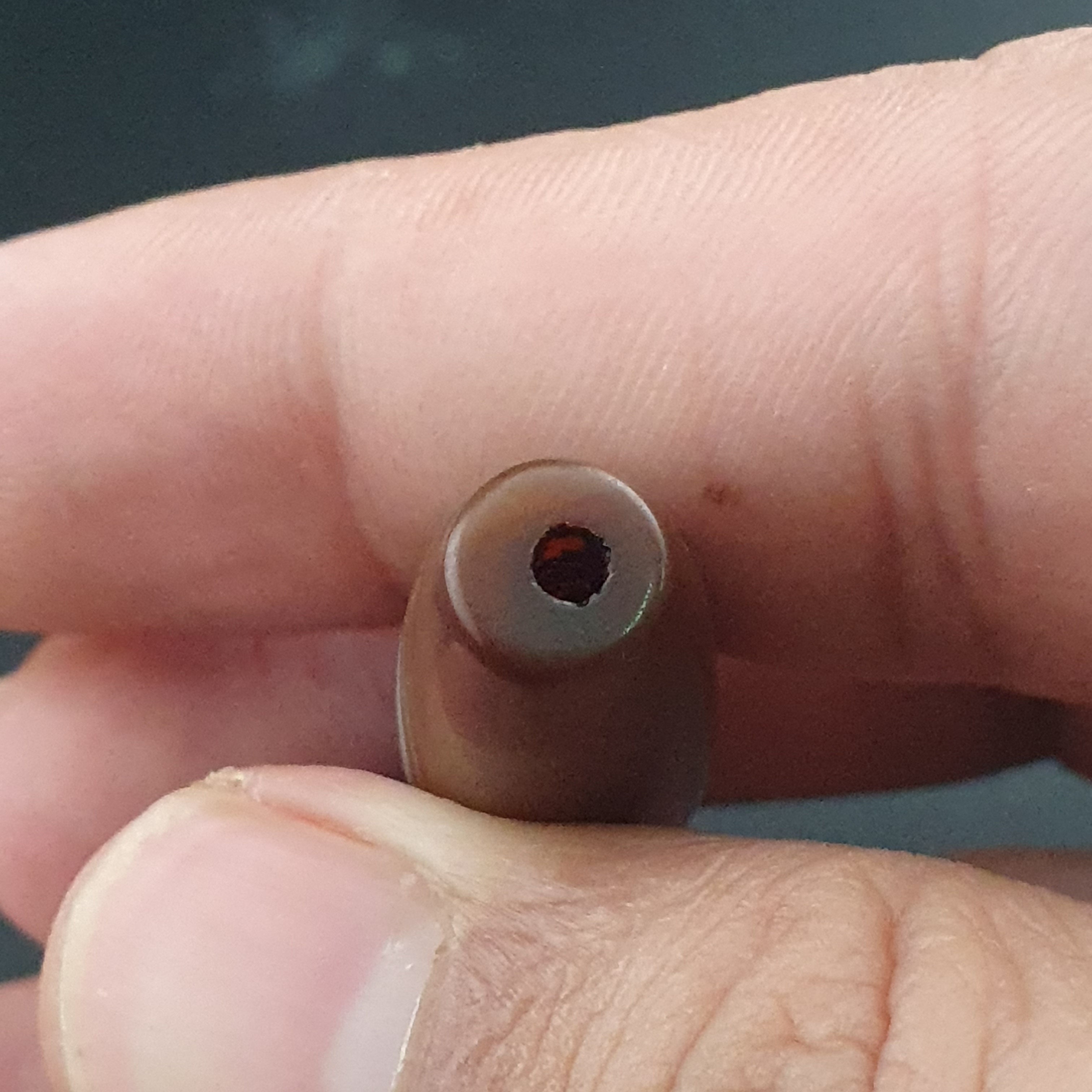 Vintage Yemeni Suliemani Eye Agate Bead Amulet