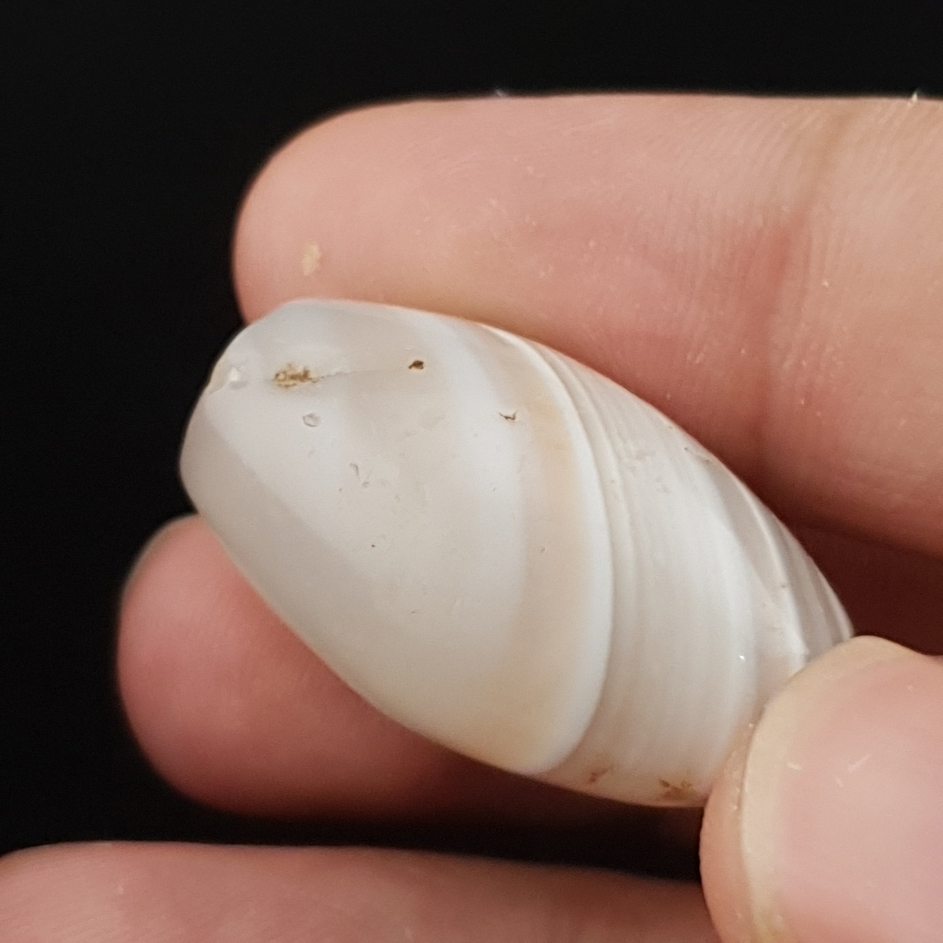 Ancient White Suliemani Agate Bead Amulet