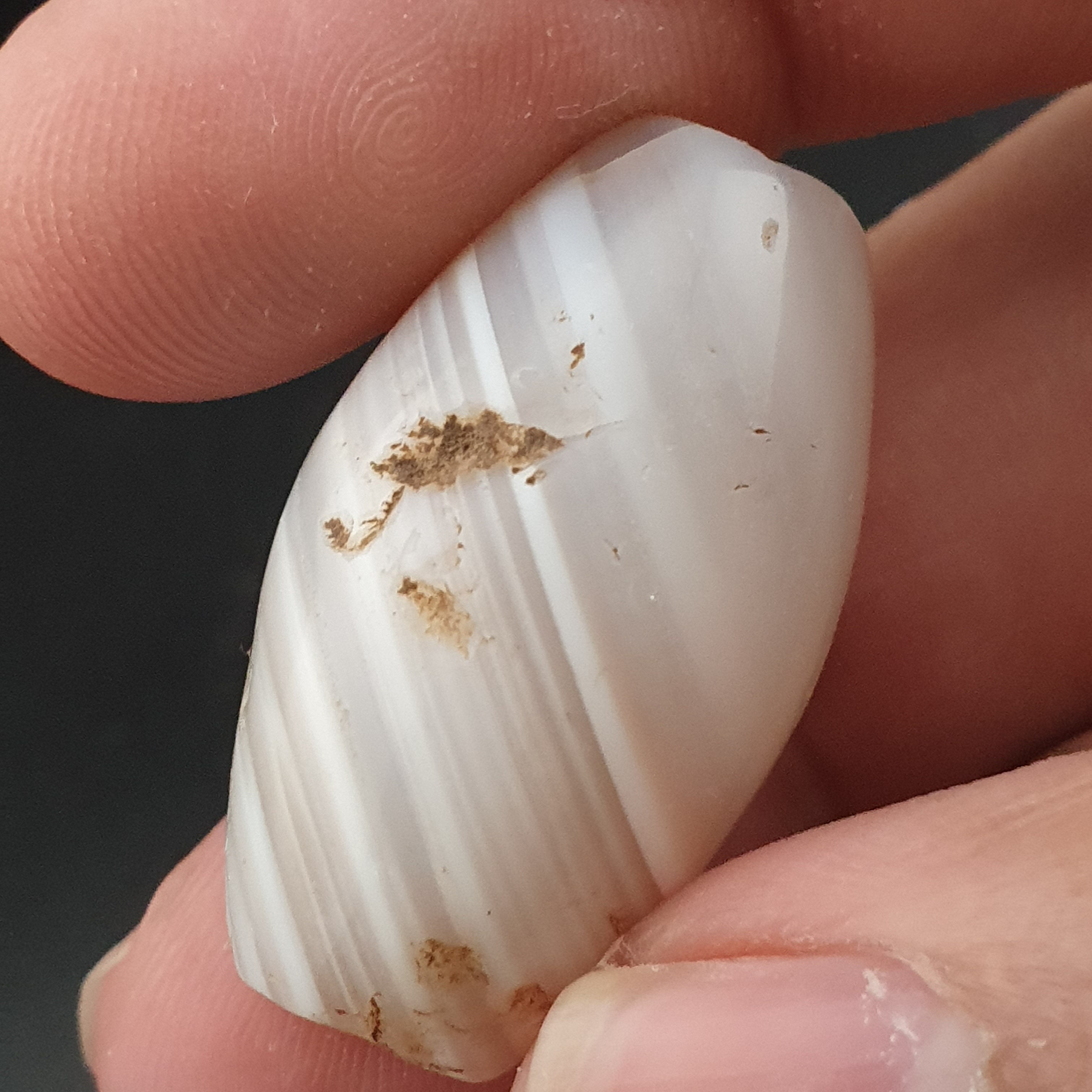 Ancient White Suliemani Agate Bead Amulet