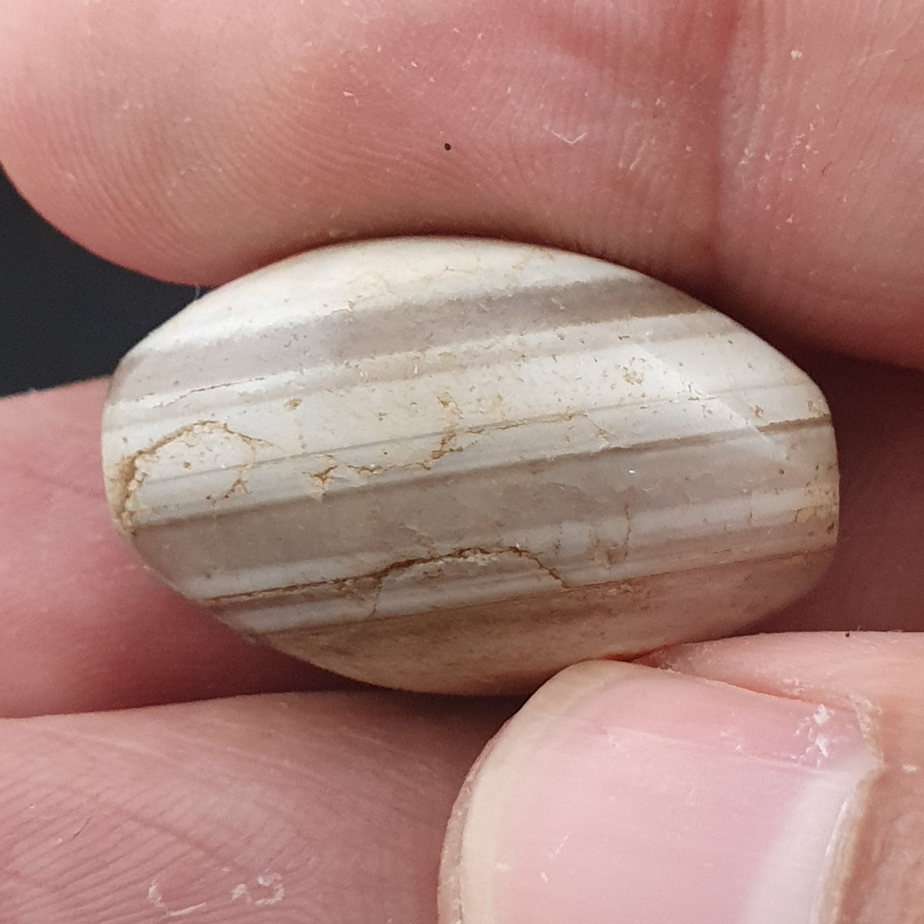 Ancient White Suliemani Eye Agate Bead Amulet