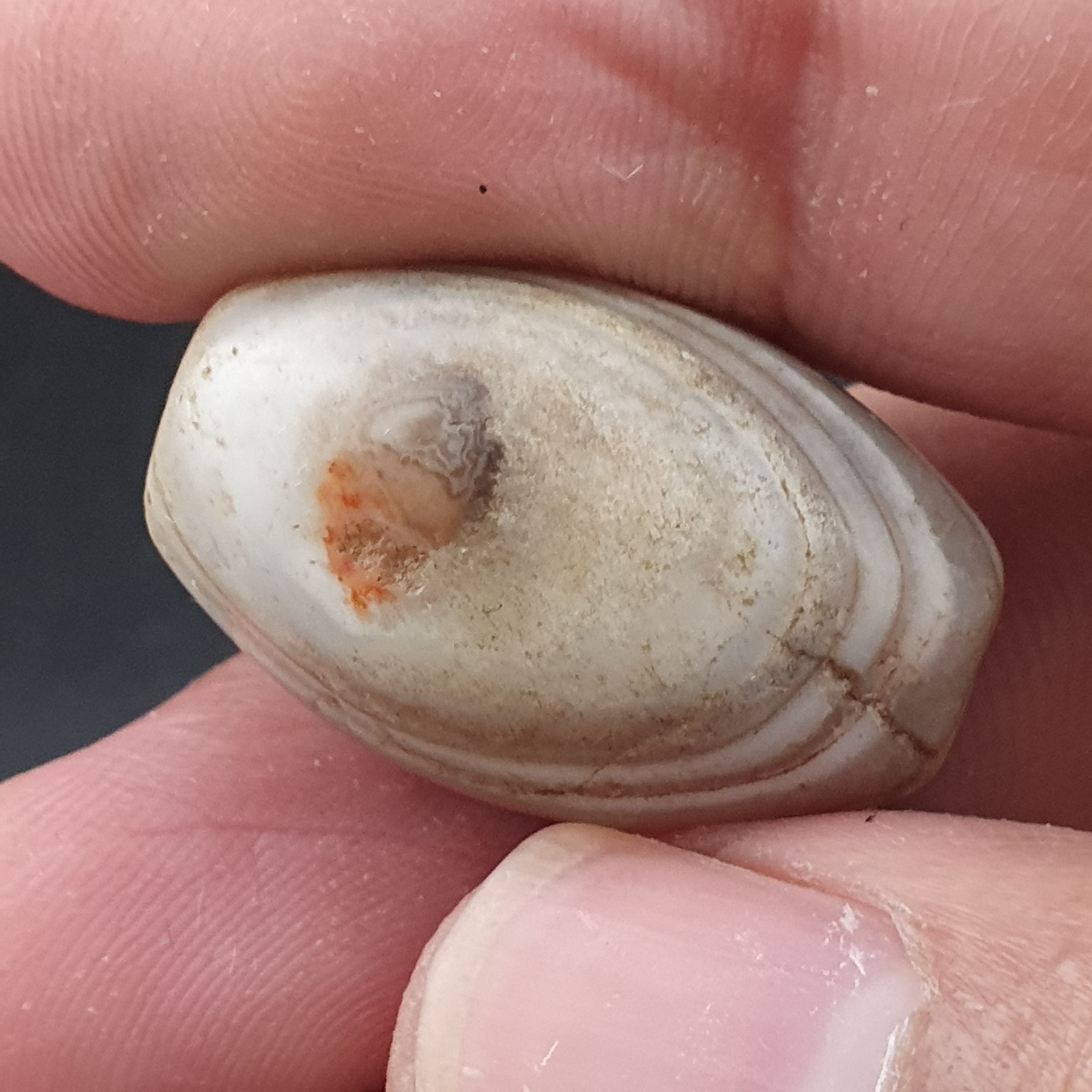 Ancient White Suliemani Eye Agate Bead Amulet