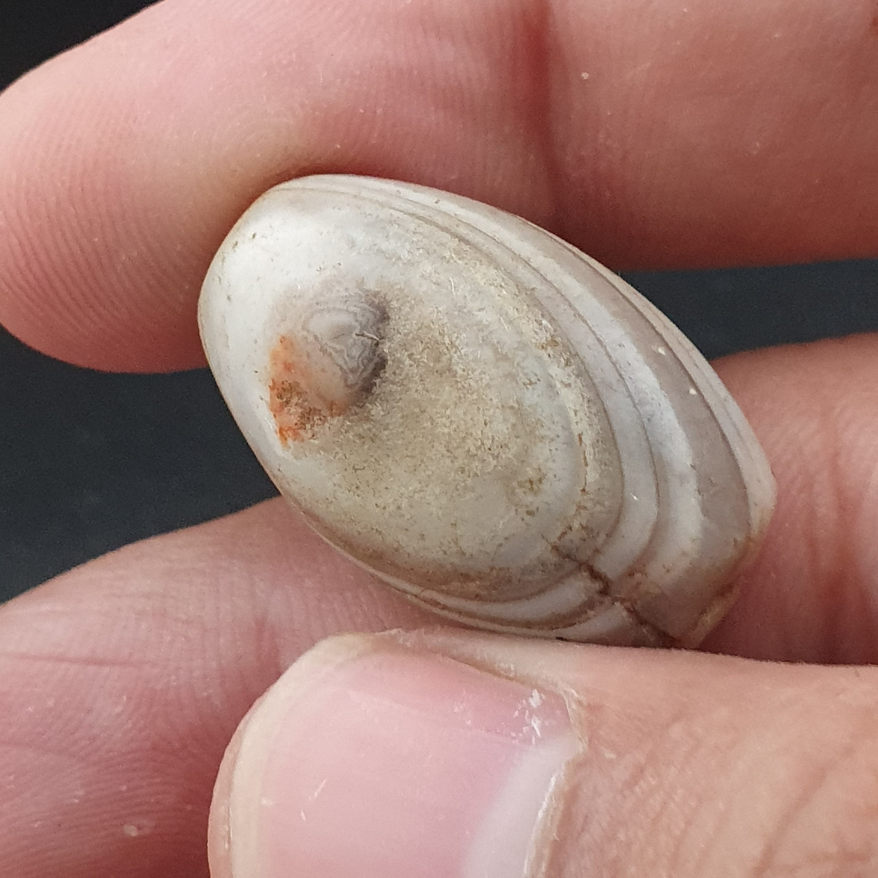 Ancient White Suliemani Eye Agate Bead Amulet