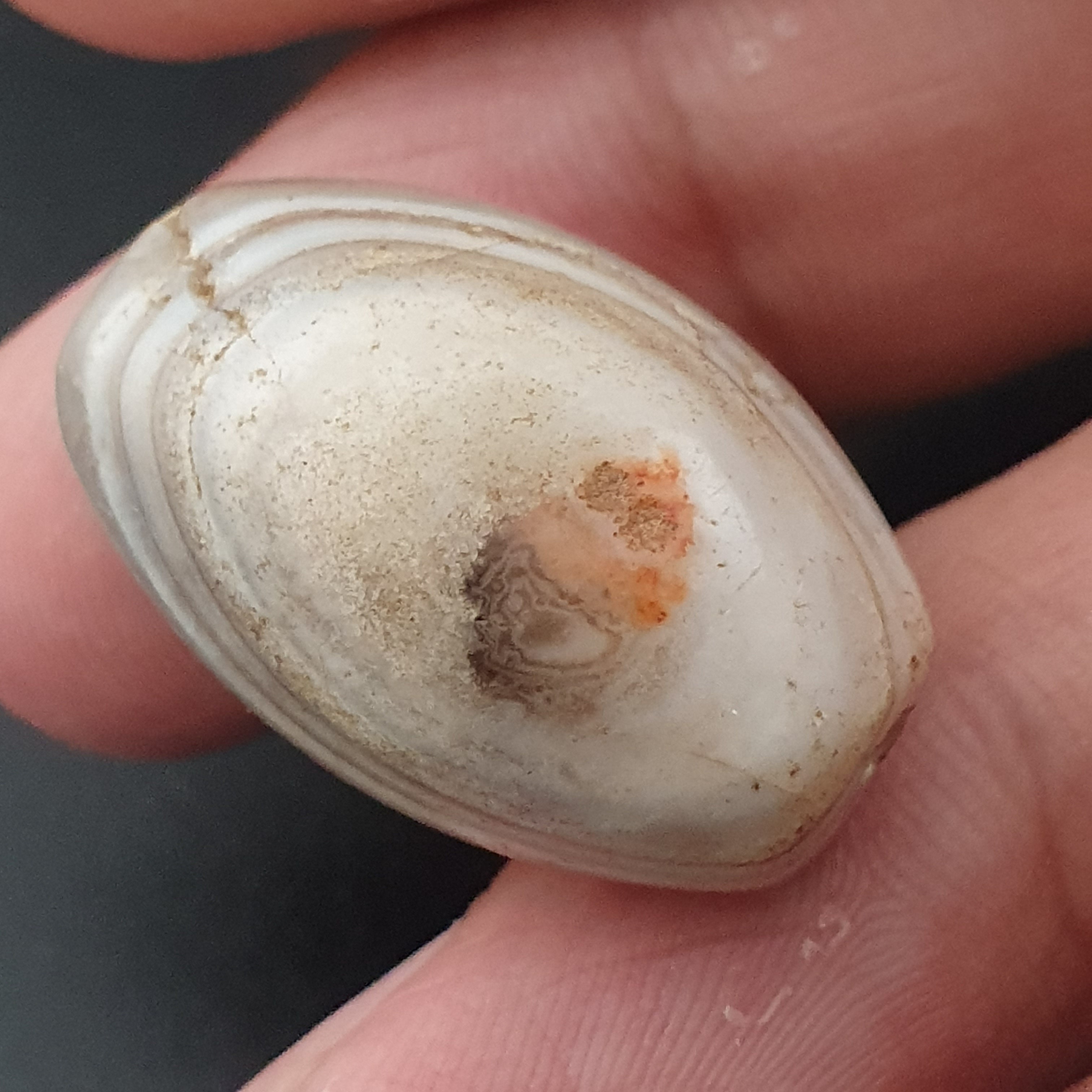 Ancient White Suliemani Eye Agate Bead Amulet