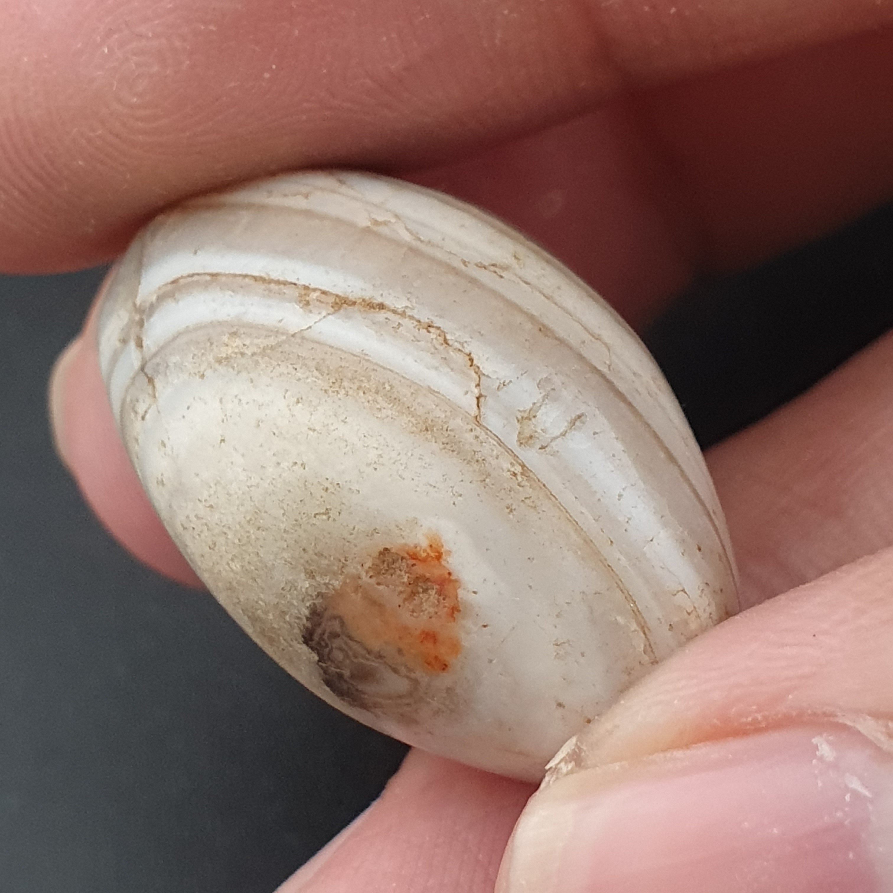 Ancient White Suliemani Eye Agate Bead Amulet
