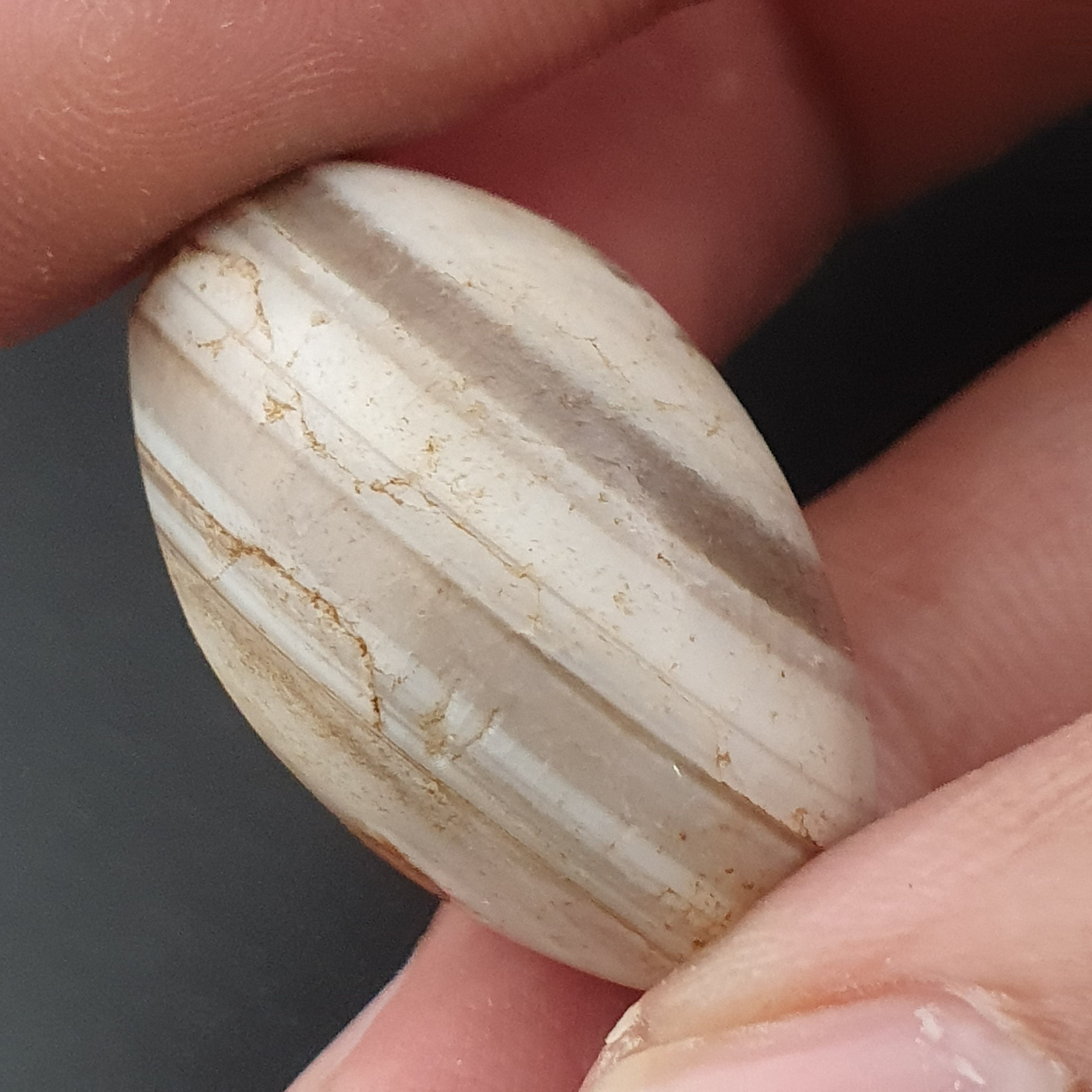 Ancient White Suliemani Eye Agate Bead Amulet