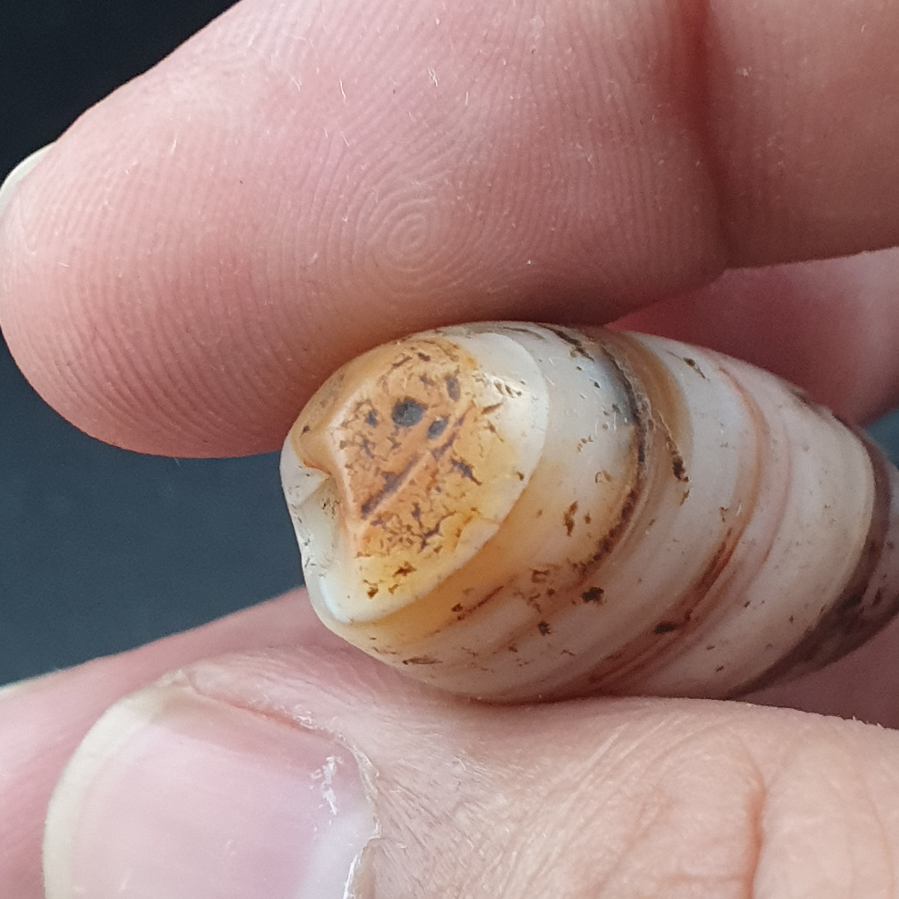 Rare Ancient Natural Stripe Pattern Eye Agate Bead Amulet