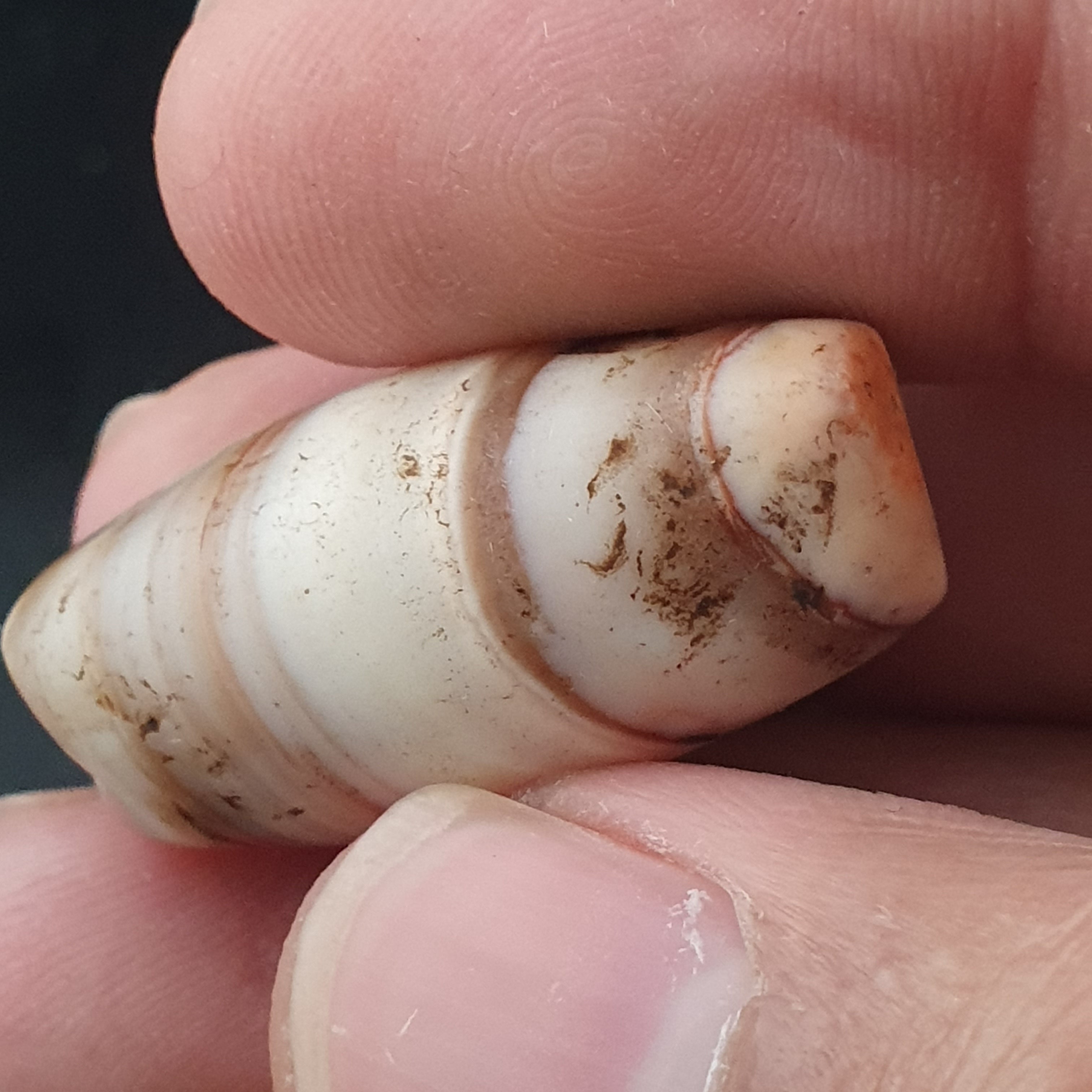 Rare Ancient Natural Stripe Pattern Eye Agate Bead Amulet