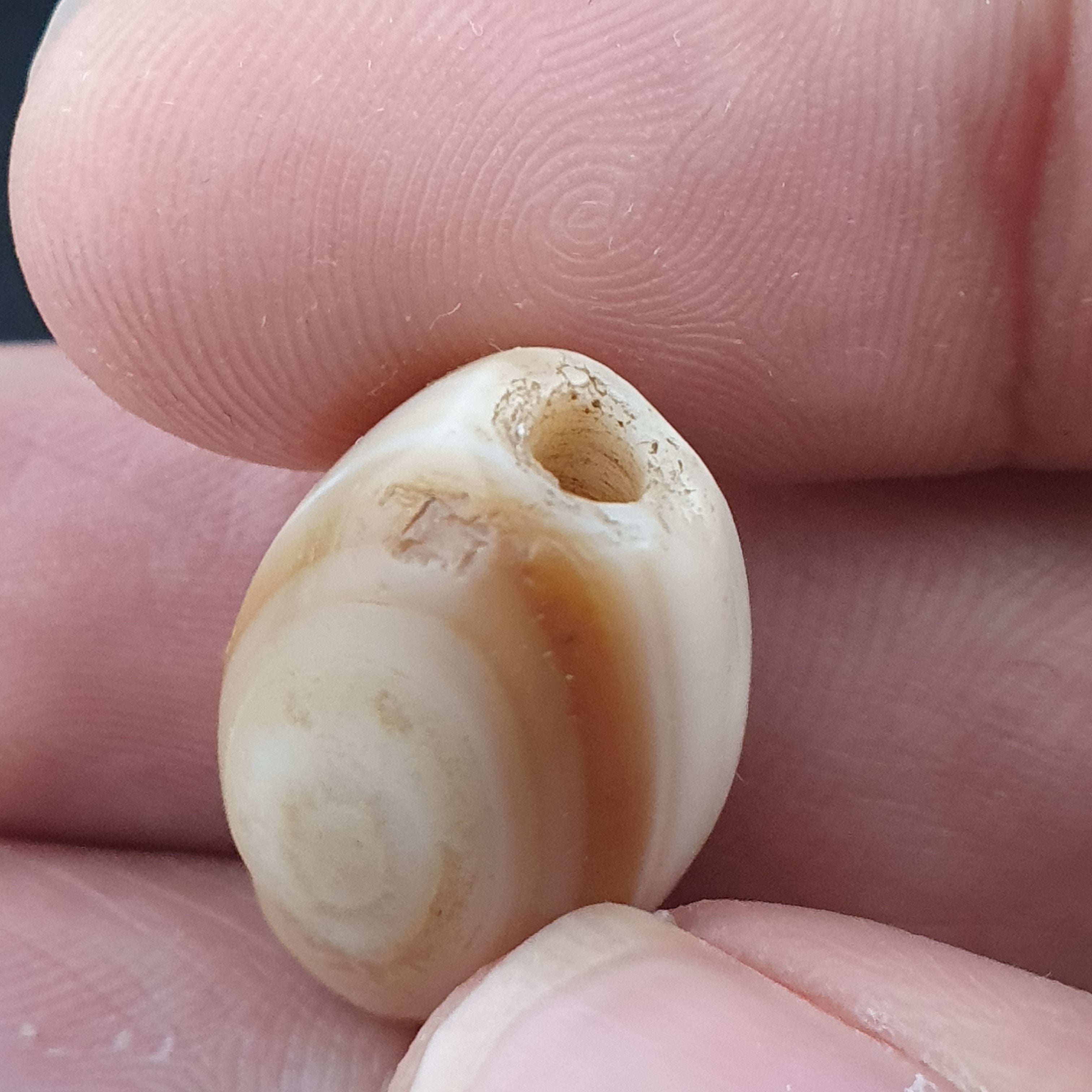 Rare Ancient Suliemani Eye Pattern Old Agate Amulet