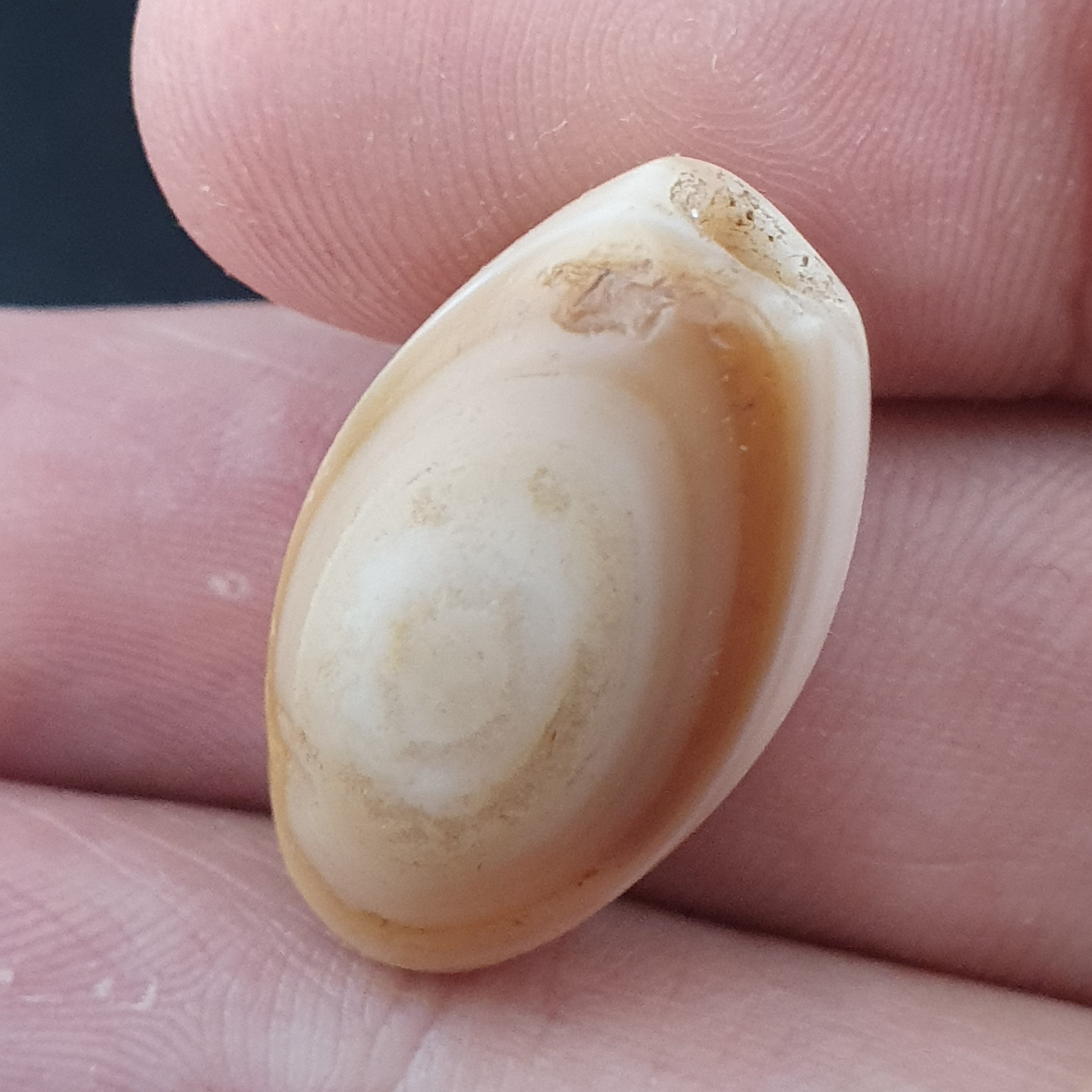 Rare Ancient Suliemani Eye Pattern Old Agate Amulet