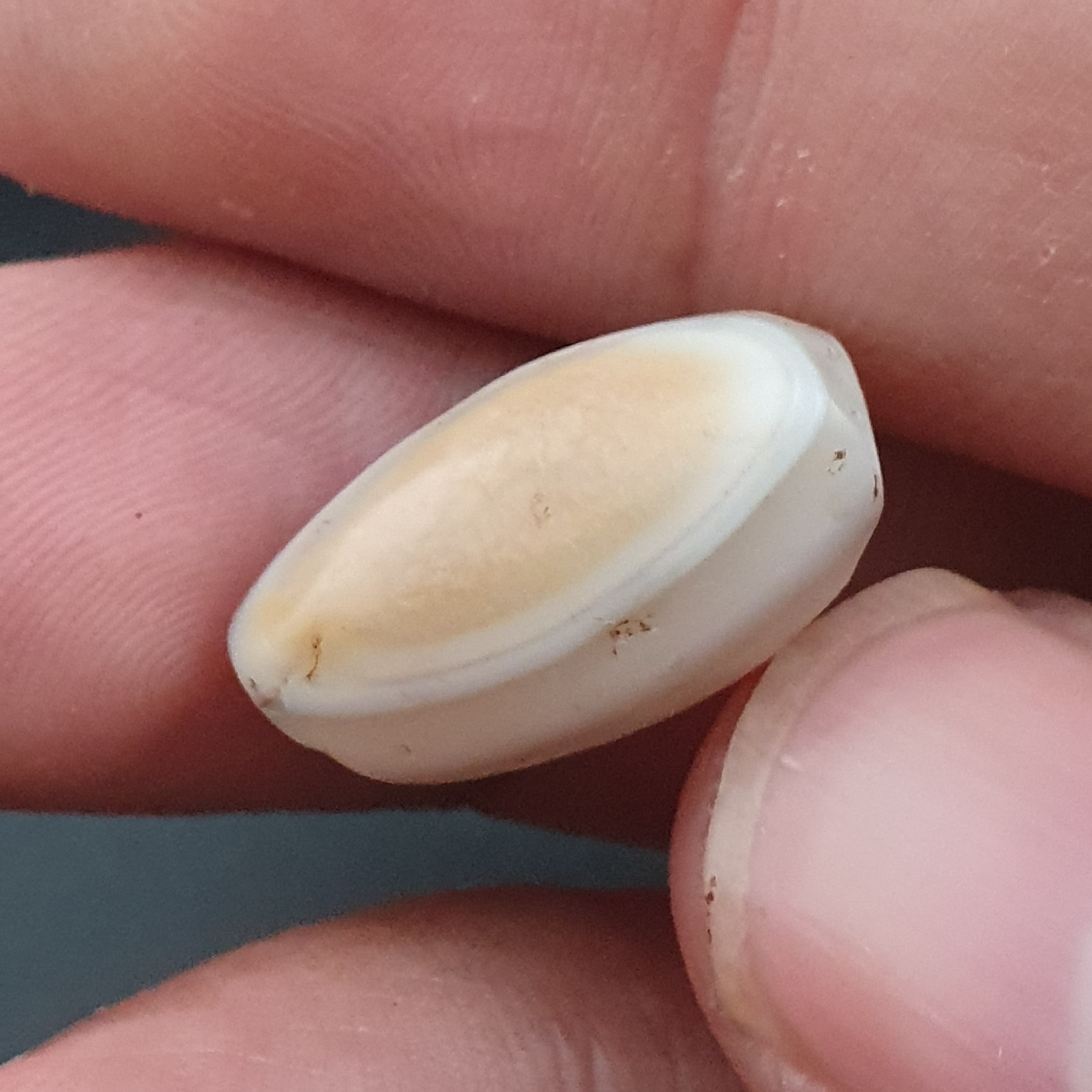 Old Ancient Eye Suleimani Agate Beads Set of 3 Amulets