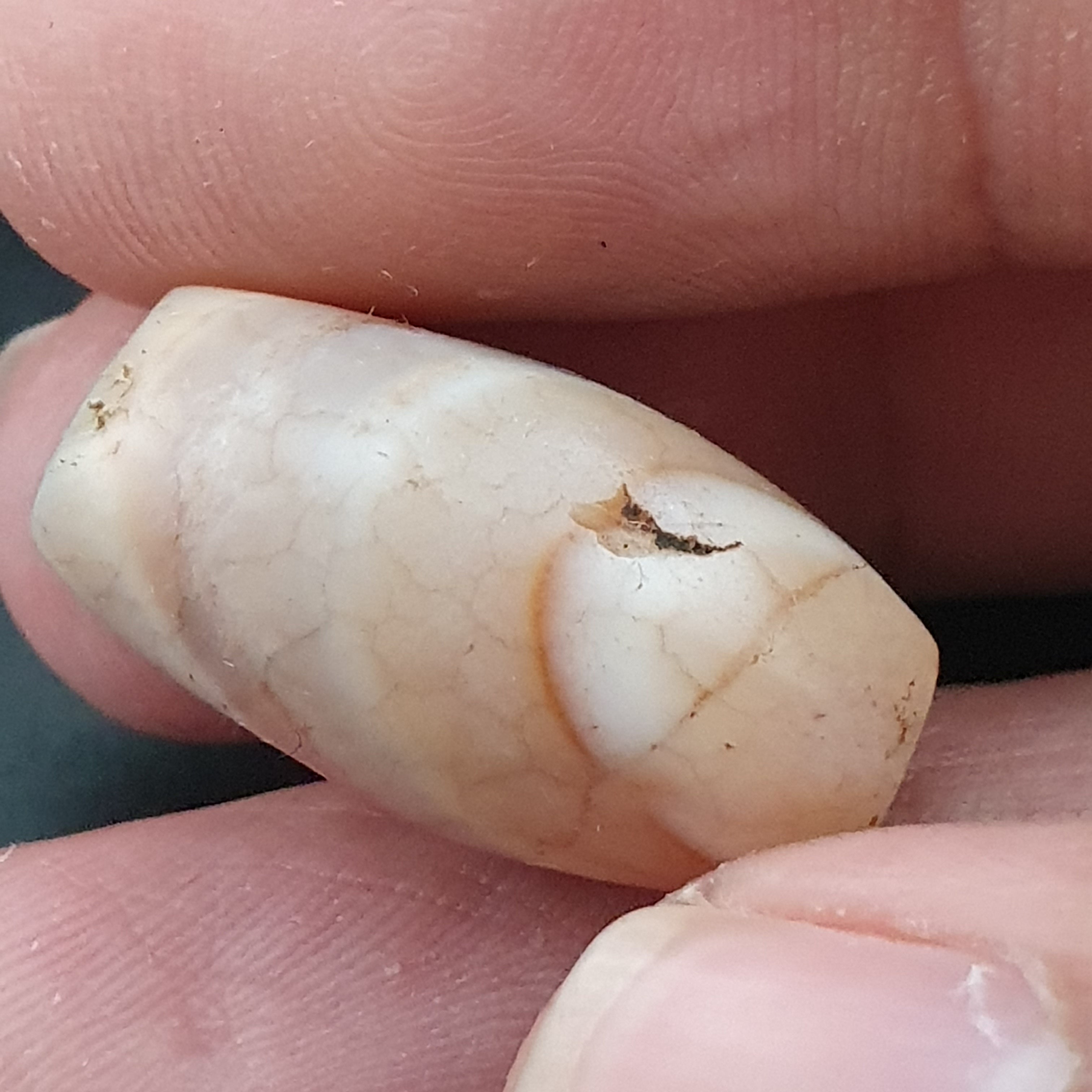 Rare Ancient Suliemani Eye Pattern Agate Bead