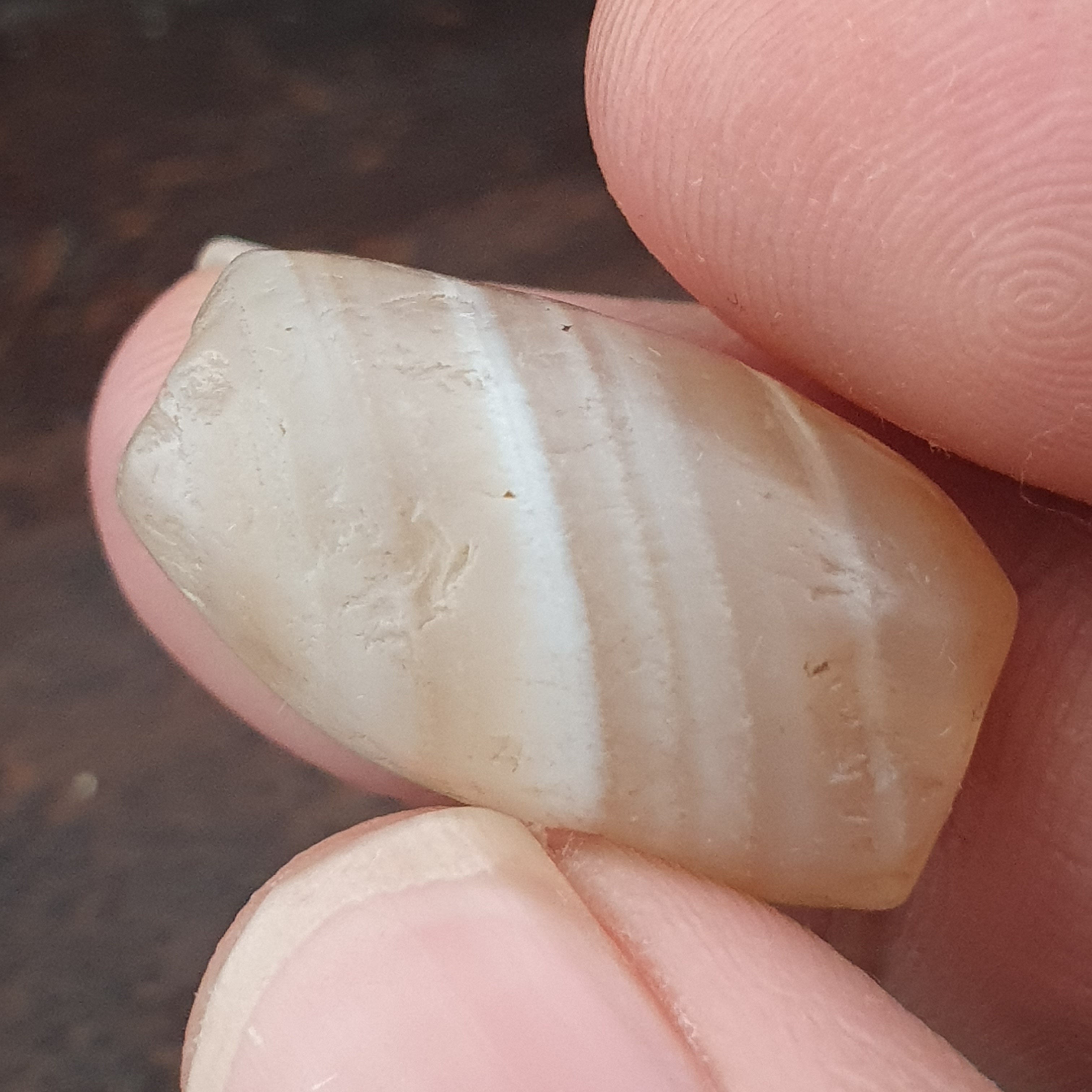 Ancient Old Eye Suliemani Agate Protective Amulet