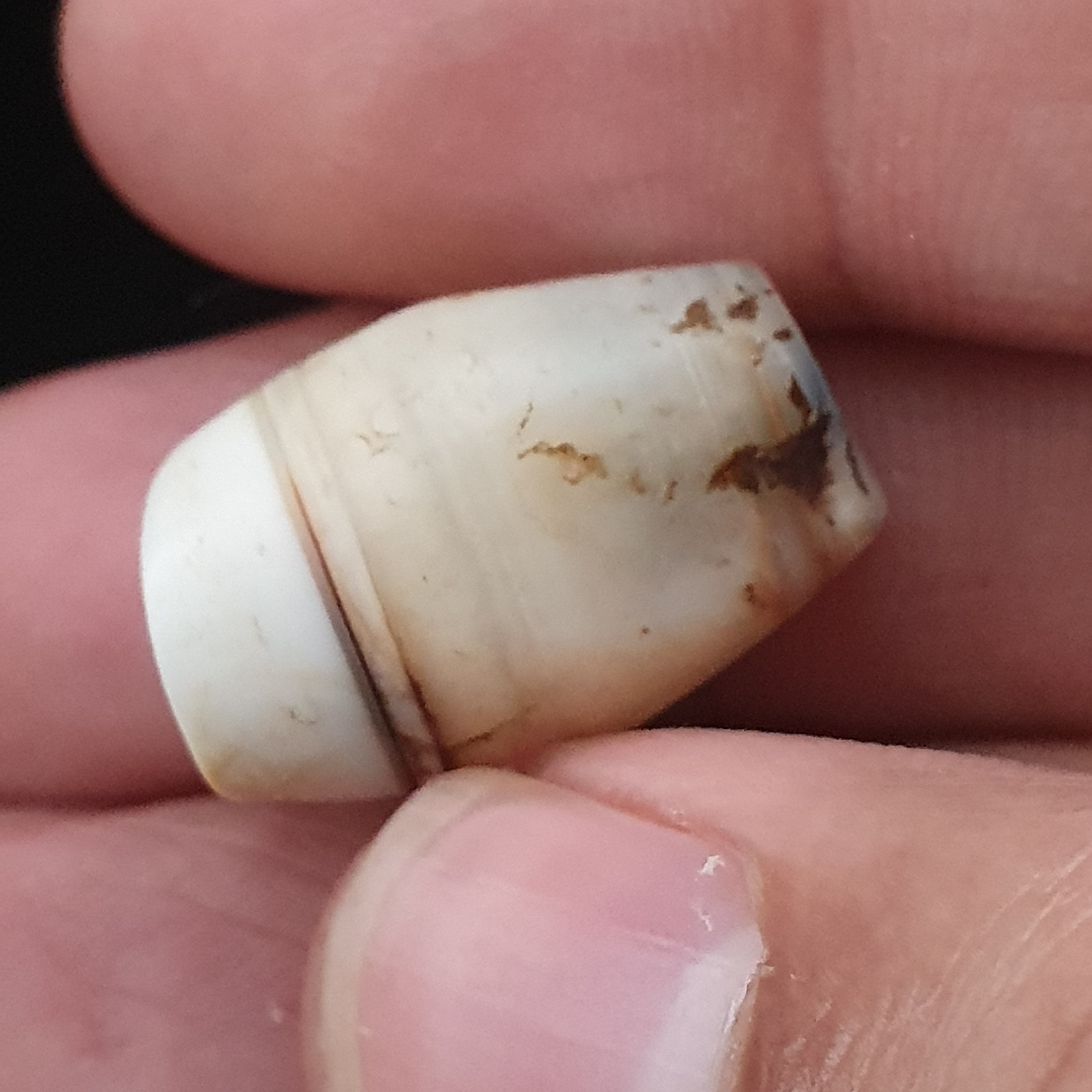 Rare Ancient Natural Eye Suliemani Agate Pair