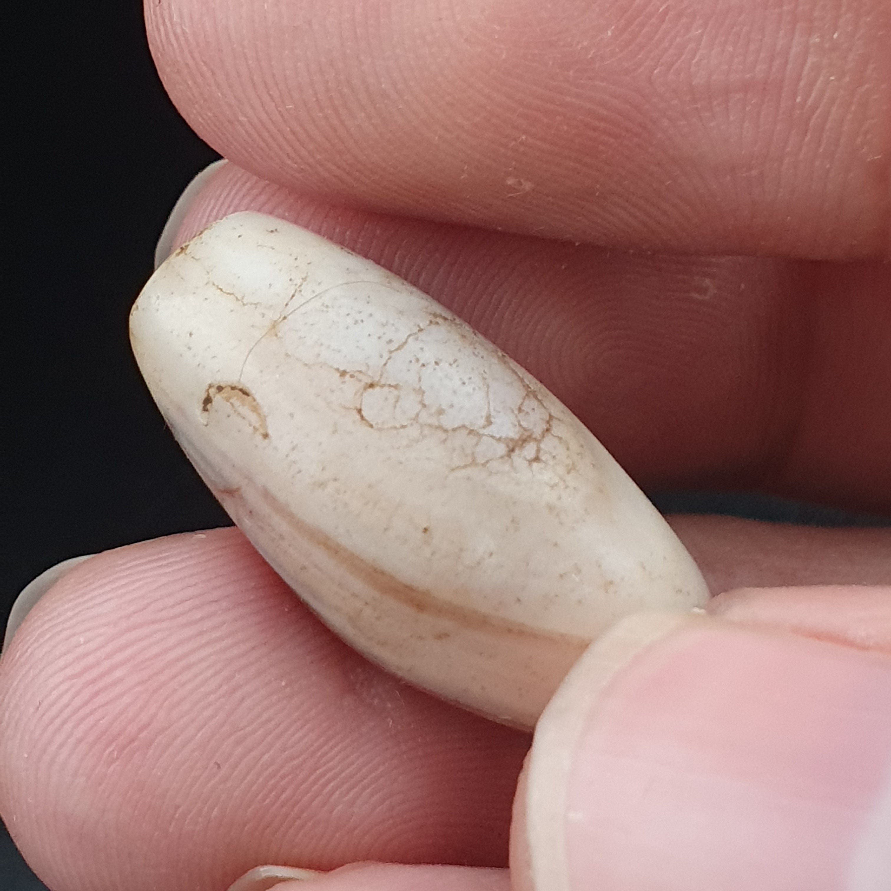 Rare Ancient Natural Eye Suliemani Agate Pair